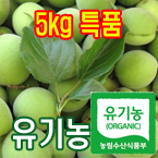 100%ûŽ5kg(Ưǰ:Ǵ¿⽺)[]/(528Ϻ ߼)